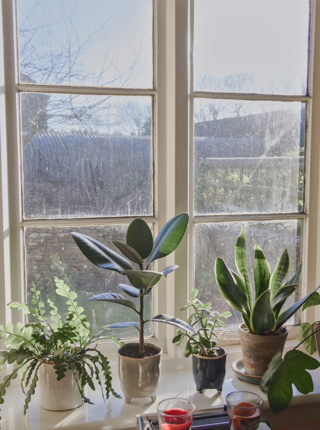 Home office desk with laptop beside a window and plants